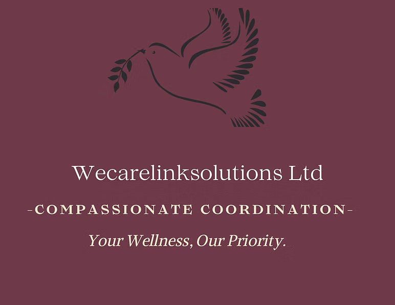 Wecarelinksolutions Dashboard Preview